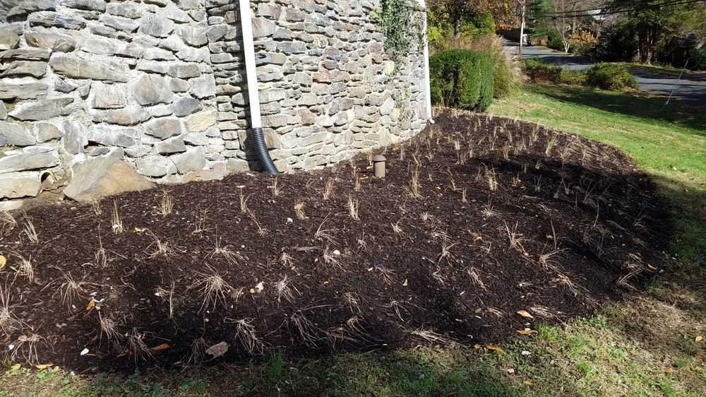 Affordable landscaping services in Croton-on-Hudson, NY by PLAN it WILD