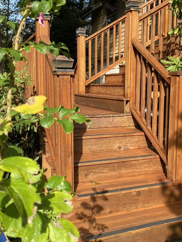 Trusted yard cleanup service experts serving Bellingham, WA - Plan L Projects