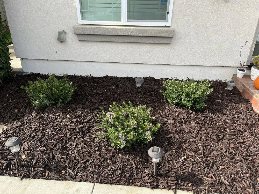 Top-rated landscape installation in Salinas, CA by Planet Earth Garden Services