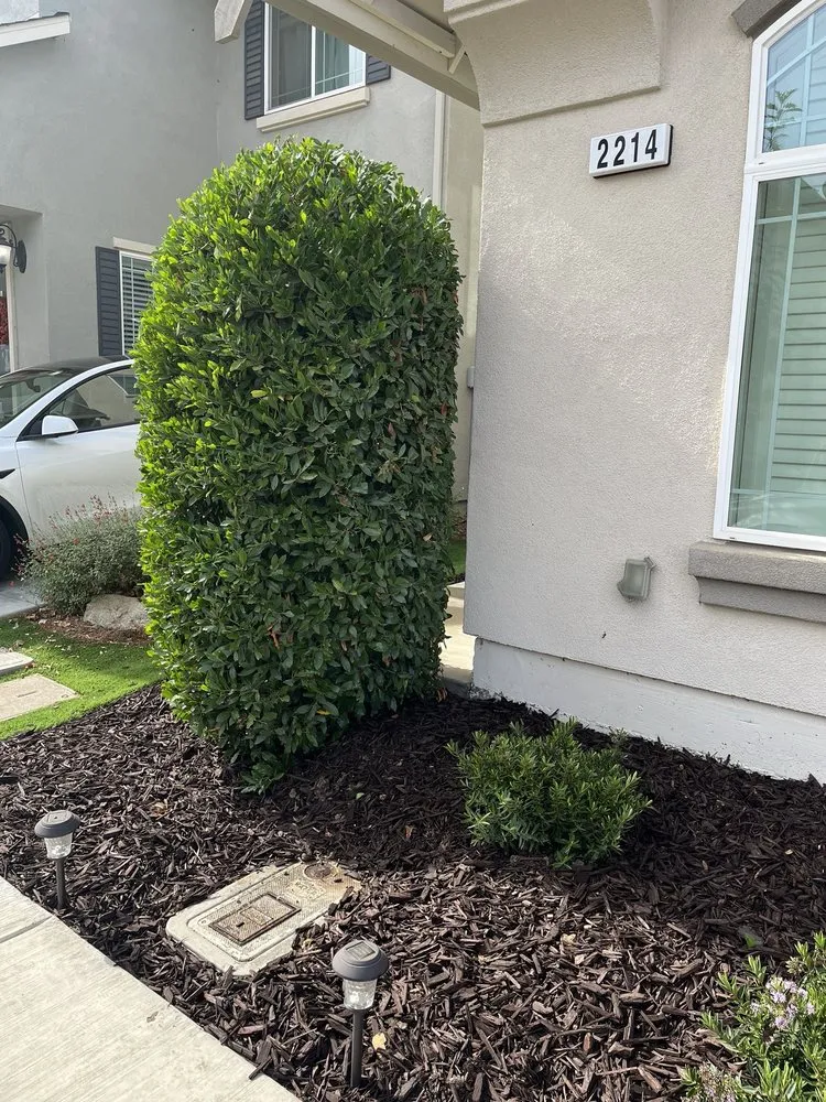 Top-rated lawn mowing service experts serving Salinas, CA - Planet Earth Garden Services