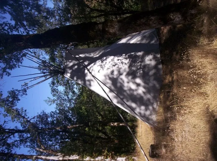 Expert yard maintenance with custom design across Quakertown, PA - Planet Green Landscaping