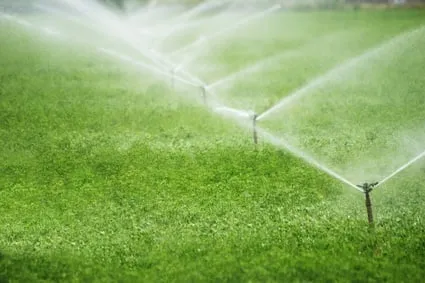 Top-rated landscape design for year-round maintenance across Vancouver, WA - Planet Green Landscaping