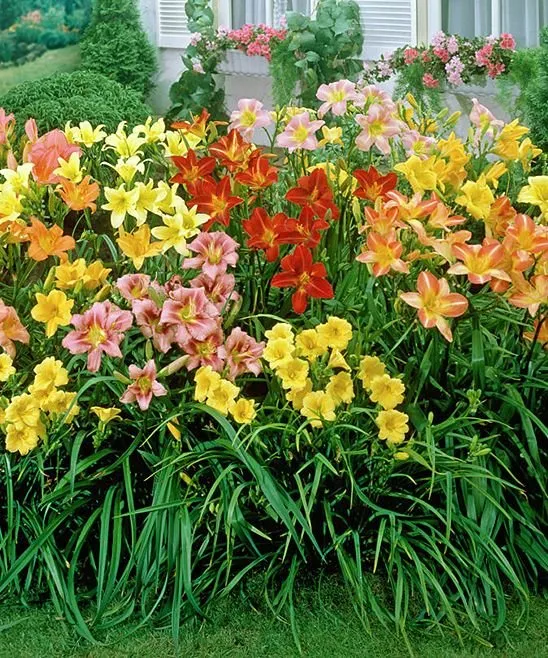 Custom outdoor landscaping for residential properties in San Antonio, TX by Planet Green