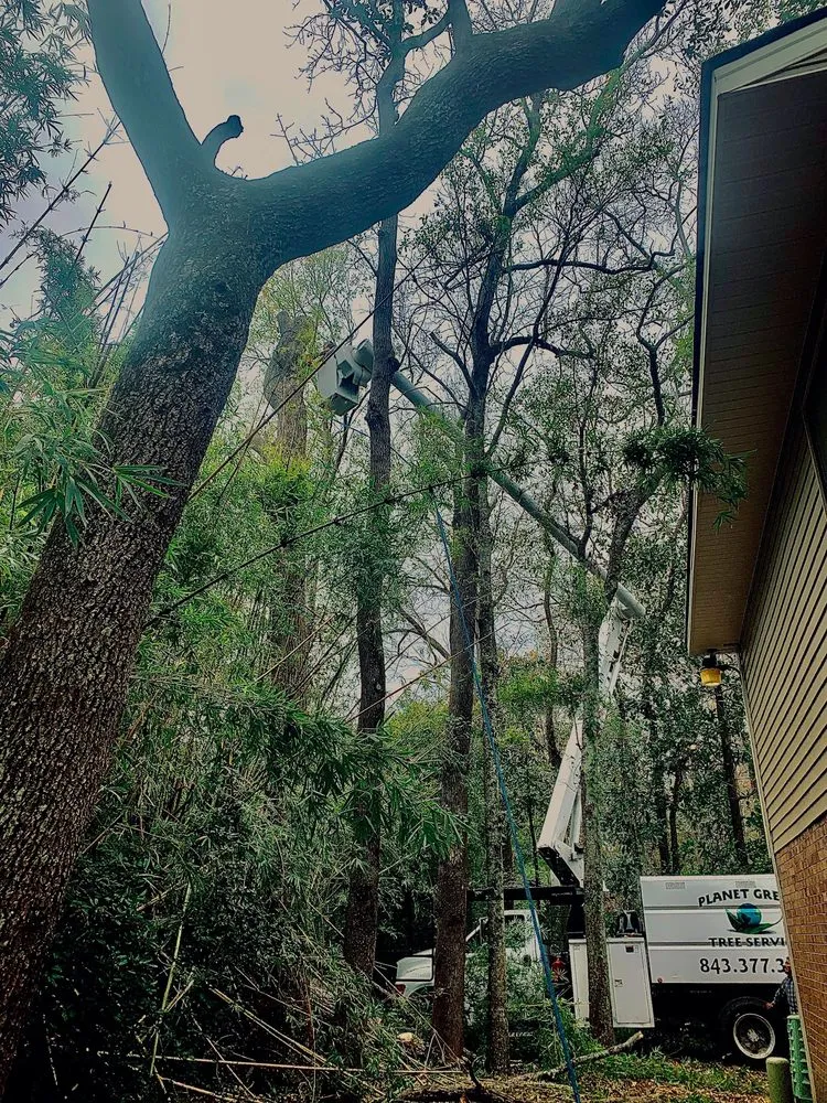 Trusted yard maintenance in Hanahan, SC by Planet Green Tree Service