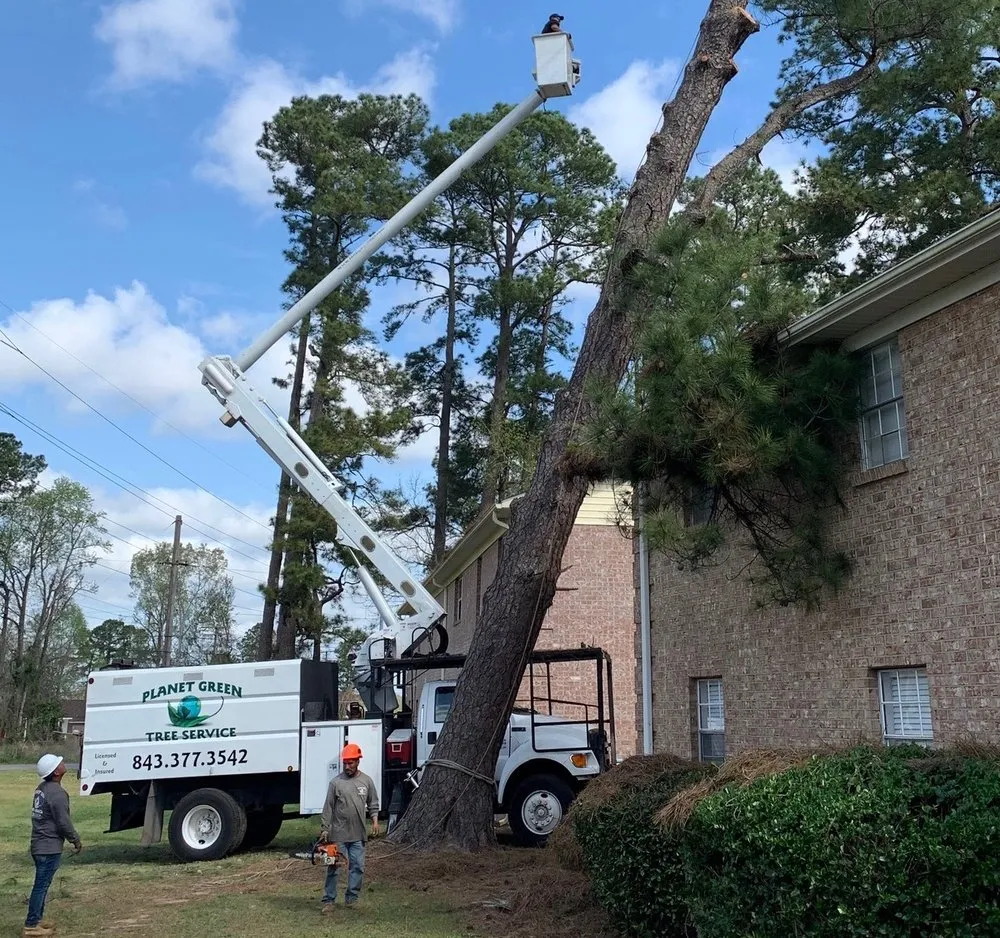 Trusted lawn mowing service for outdoor upgrades across Hanahan, SC - Planet Green Tree Service
