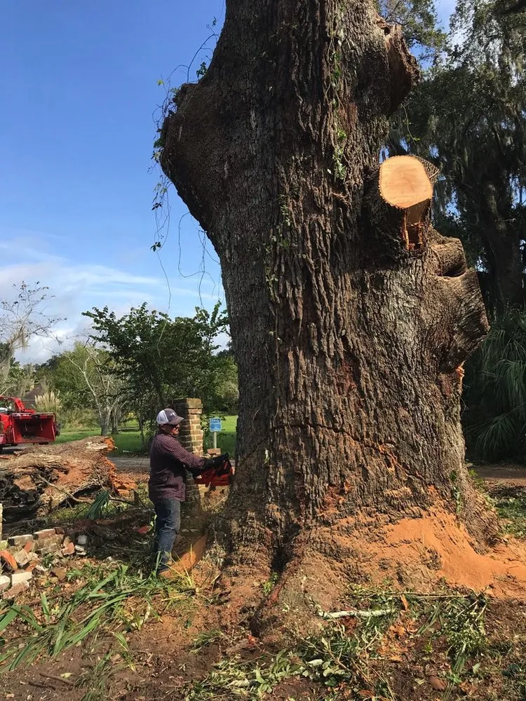 Reliable lawn care service in Hanahan, SC - Planet Green Tree Service