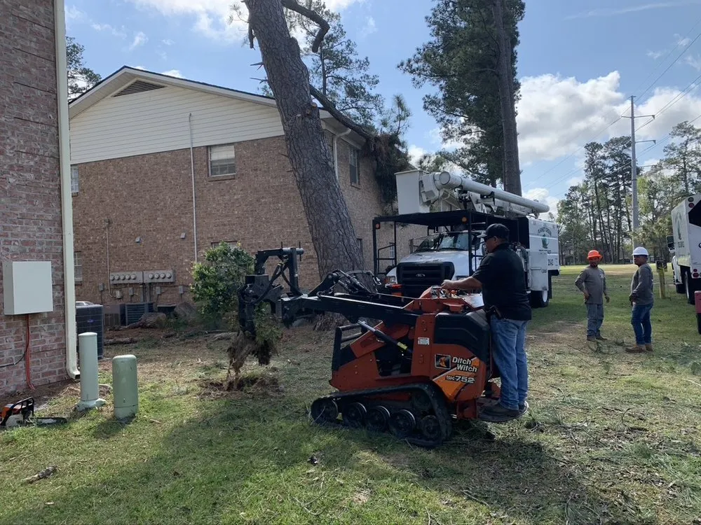 Trusted landscaping services experts serving Hanahan, SC - Planet Green Tree Service