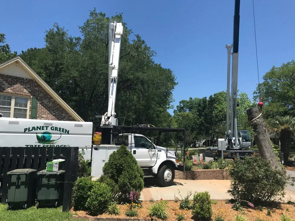 Trusted landscape design in Hanahan, SC by Planet Green Tree Service