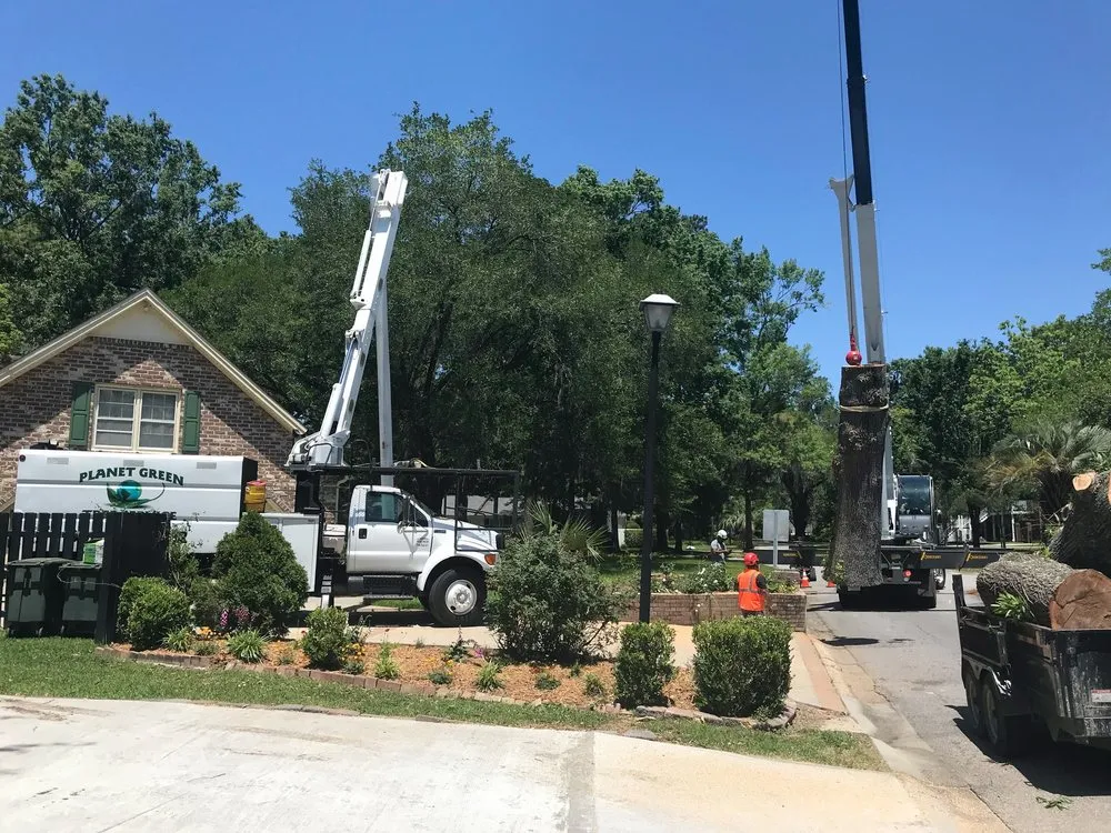 Trusted landscape design in Hanahan, SC - Planet Green Tree Service