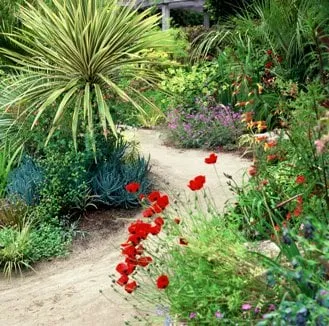 Custom yard cleanup service in Tiburon, CA by Planet Horticulture