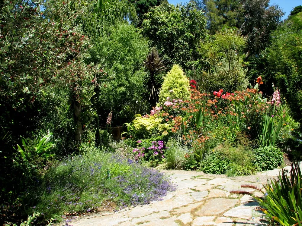 Custom yard cleanup service with custom design across Tiburon, CA - Planet Horticulture