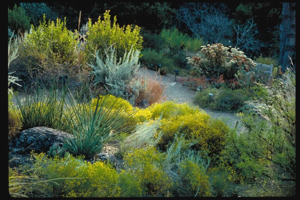 Top-rated outdoor landscaping for year-round maintenance in Tiburon, CA by Planet Horticulture