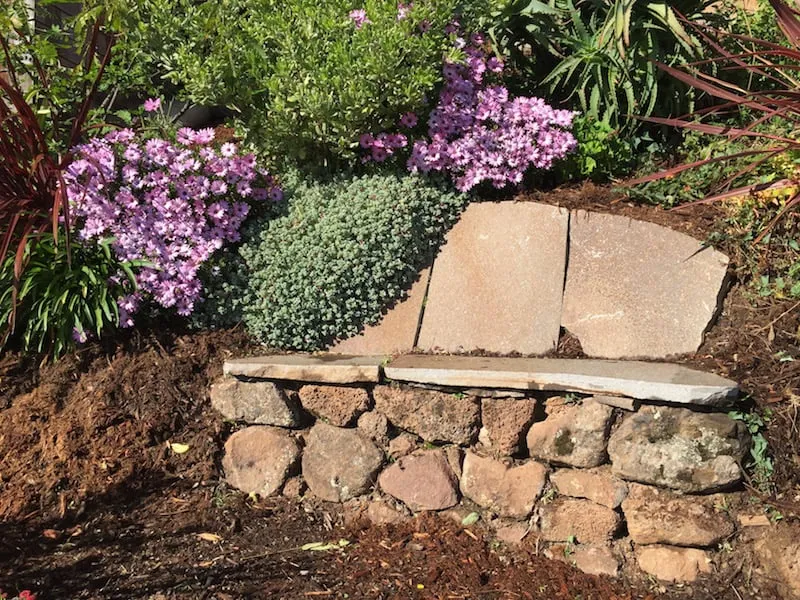 Custom yard cleanup service experts serving Tiburon, CA - Planet Horticulture