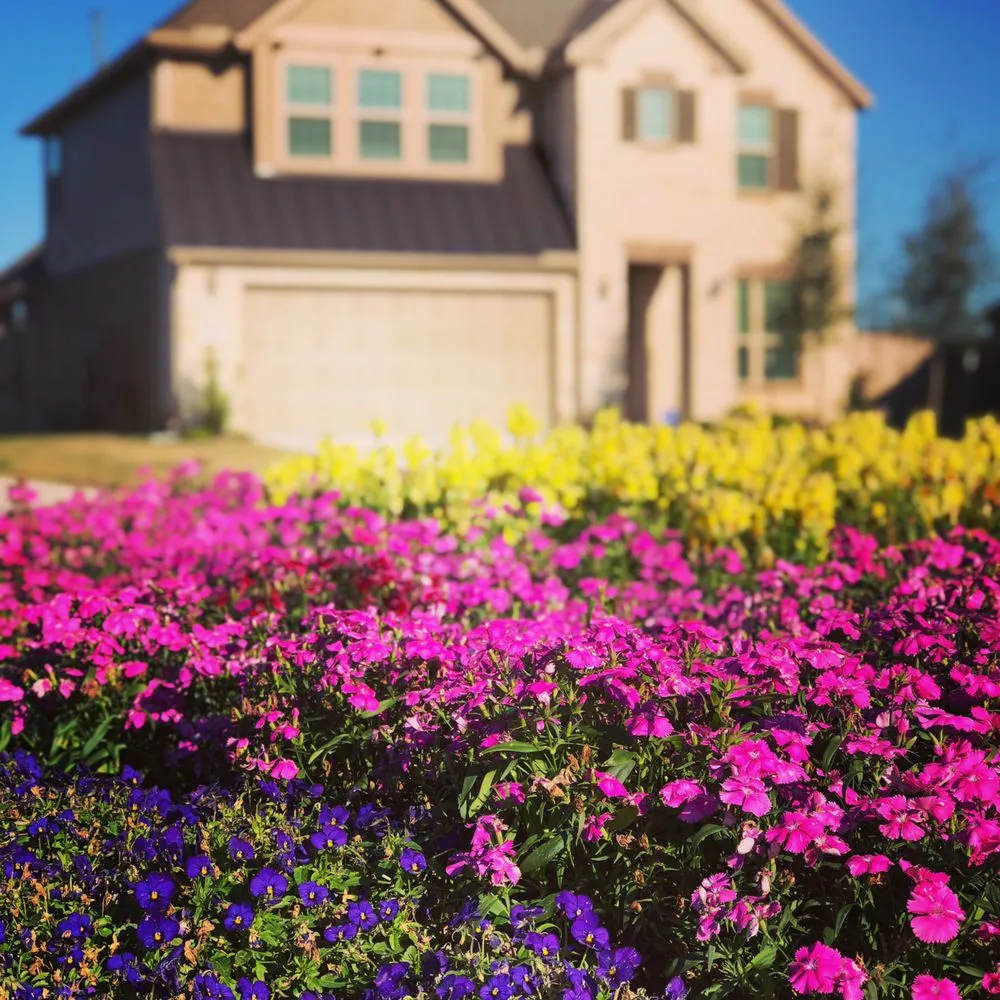 Trusted yard maintenance experts serving Bellville, TX - Planet Landscape