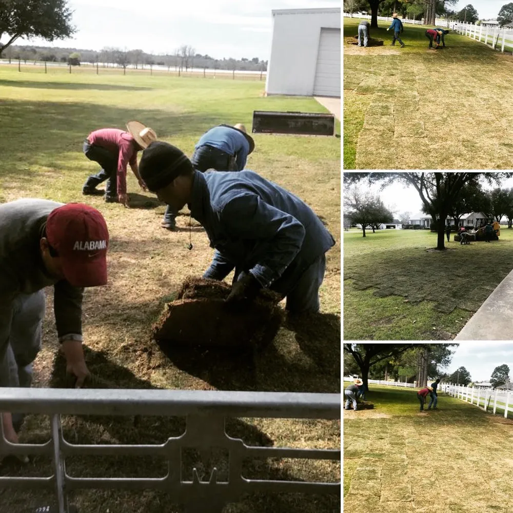 Reliable yard cleanup service experts serving Bellville, TX - Planet Landscape