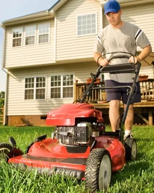 Local lawn care service in Reading, PA - Plank Tree Service