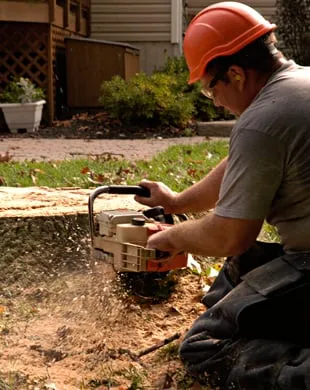 Trusted landscape design experts serving Reading, PA - Plank Tree Service