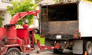 Affordable outdoor landscaping for outdoor upgrades in Reading, PA by Plank Tree Service