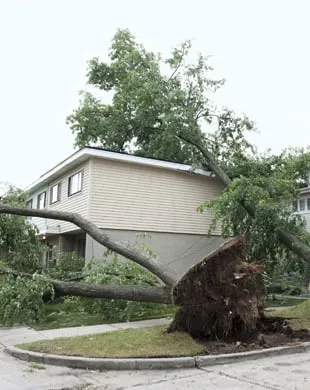 Expert lawn mowing service experts serving Reading, PA - Plank Tree Service