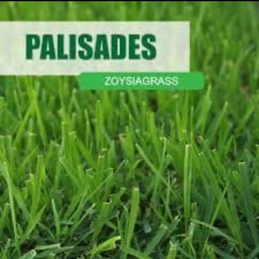 Affordable landscape installation near you in Plano, TX by Plano Grass Irrigation Drainage