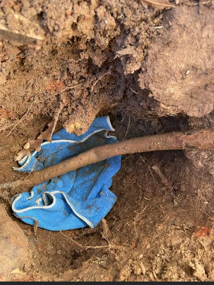 Reliable garden landscaping in Dallas, TX by Plano Handyman Landscaping Irrigation