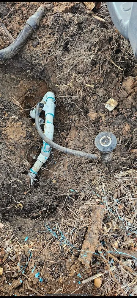 Professional landscape design in Dallas, TX by Plano Handyman Landscaping Irrigation