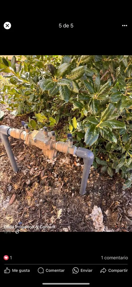 Custom yard cleanup service in Dallas, TX - Plano Handyman Landscaping Irrigation