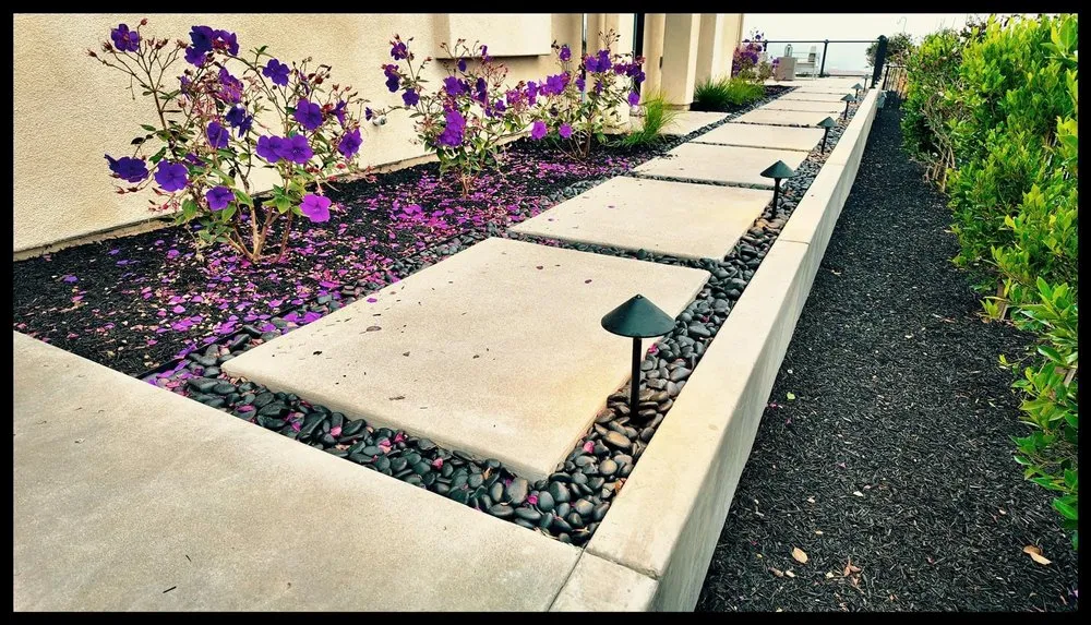 Top-rated lawn care service in Plano, TX by Plano Landscaping Company