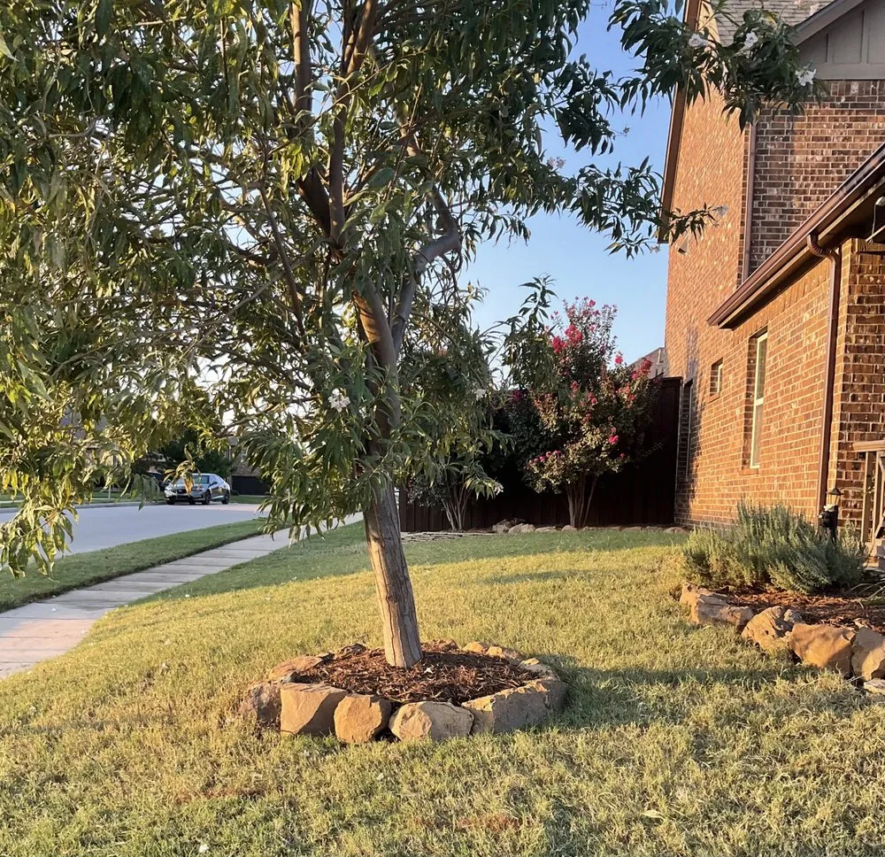 Reliable landscape installation for beautiful yards across Plano, TX - Plano Landscaping Company