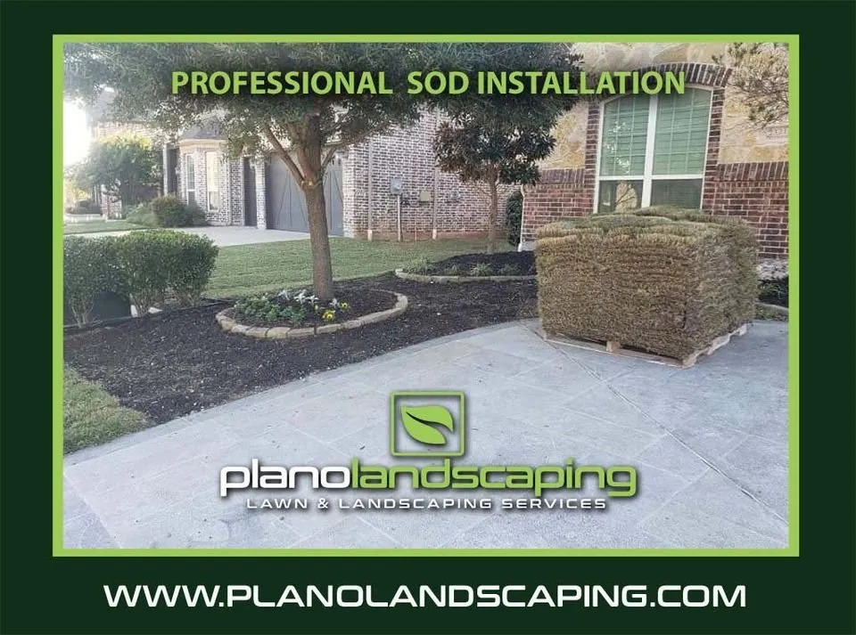 Affordable garden landscaping for outdoor upgrades in Plano, TX by Plano Landscaping