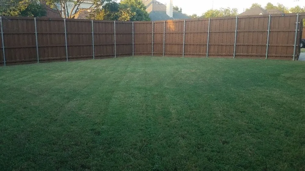 Expert yard cleanup service experts serving Plano, TX - Plano Landscaping