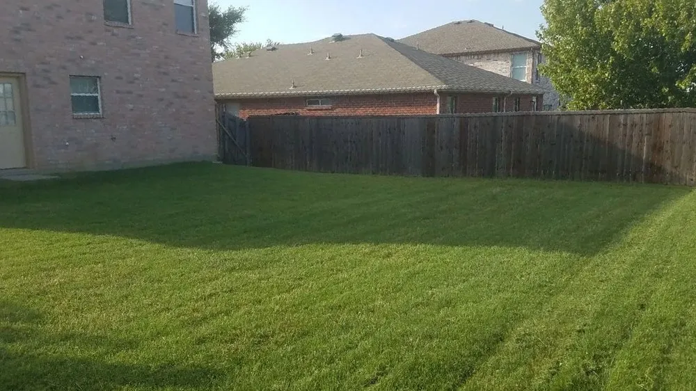 Local lawn mowing service for year-round maintenance in Plano, TX by Plano Landscaping