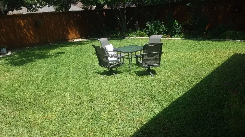 Custom yard maintenance in Plano, TX by Plano Landscaping