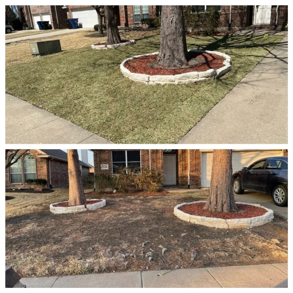 Reliable yard maintenance experts serving Plano, TX - Plano Landscaping
