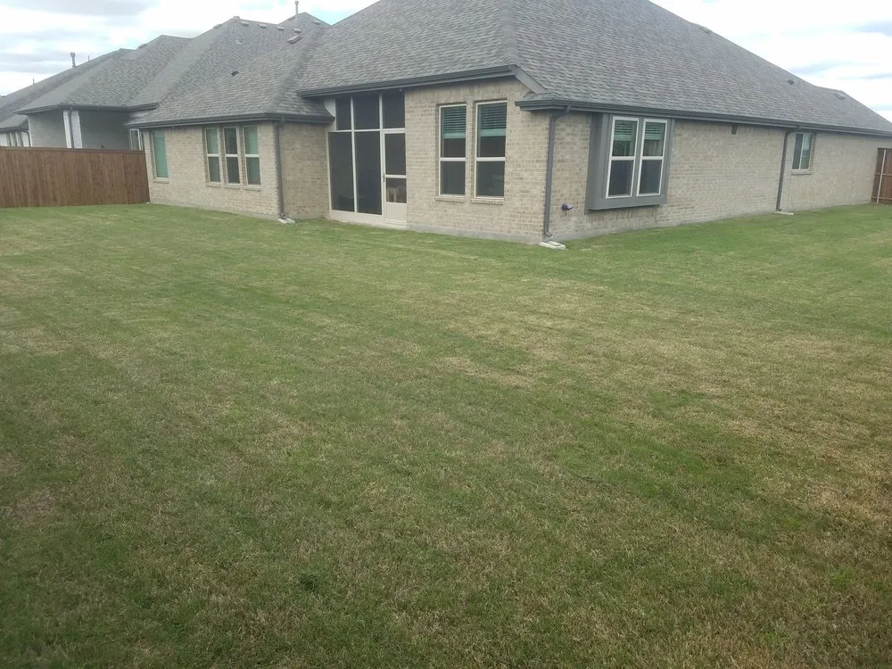 Top-rated yard cleanup service in Plano, TX - Plano Landscaping