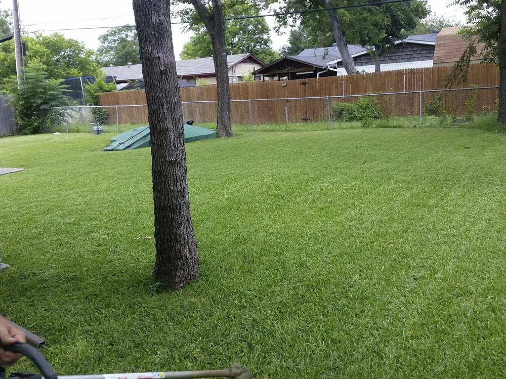 Custom garden landscaping experts serving Plano, TX - Plano Landscaping