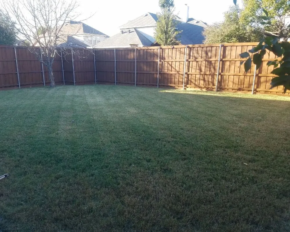 Expert lawn care service near you in Plano, TX by Plano Landscaping