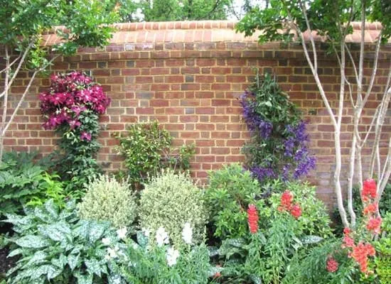 Expert lawn care service in Aldie, VA by Plant A Plant Landscape Company