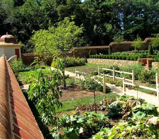 Affordable yard maintenance in Aldie, VA - Plant A Plant Landscape Company