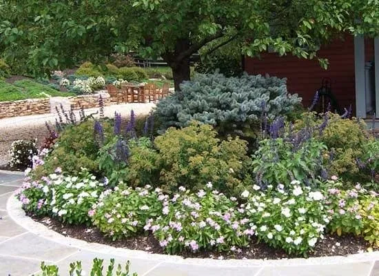 Top-rated landscaping services experts serving Aldie, VA - Plant A Plant Landscape Company