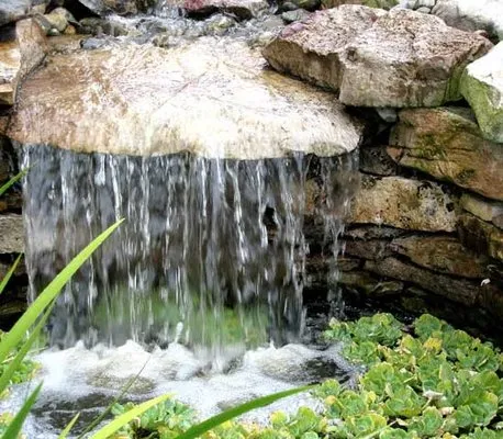 Plant A Plant Landscape Company Logo