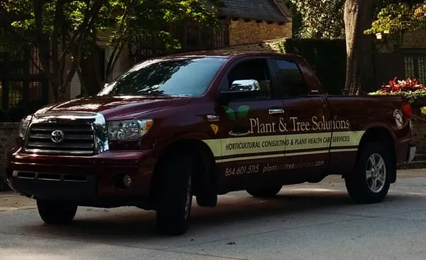 Plant and Tree Solutions Logo