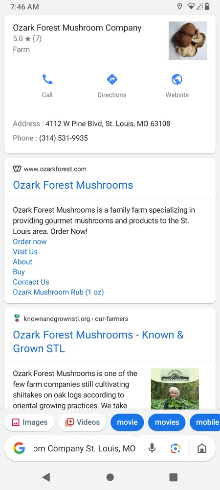 Local landscaping services in St. Louis, MO by Plant Based Cleaning