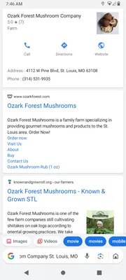 Plant Based Cleaning Logo