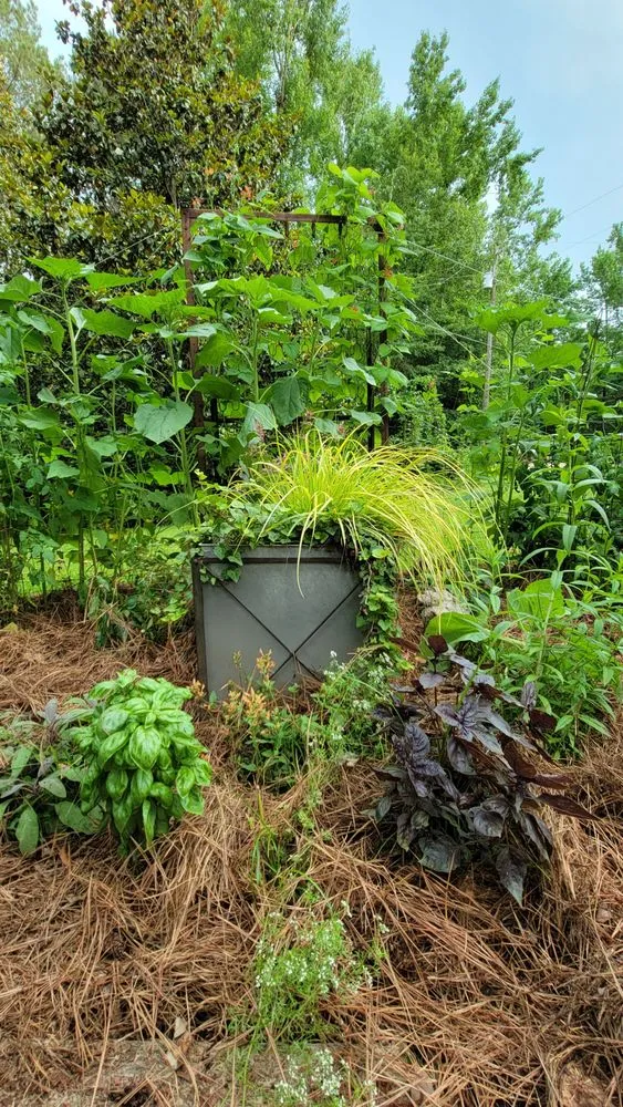 Reliable outdoor landscaping in Star, MS by Plant Connections Unlimited
