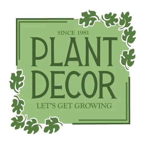 Reliable landscape installation in Pleasant Hill, CA by Plant Decor