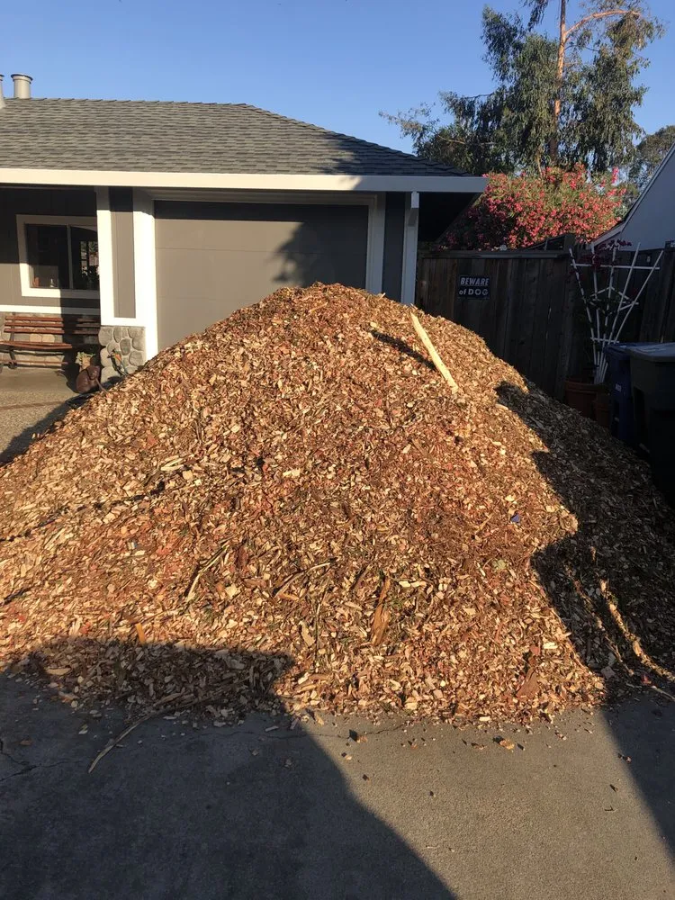 Trusted lawn mowing service experts serving Pleasant Hill, CA - Plant Decor