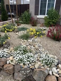 Affordable garden landscaping for homes across Pleasant Hill, CA - Plant Decor