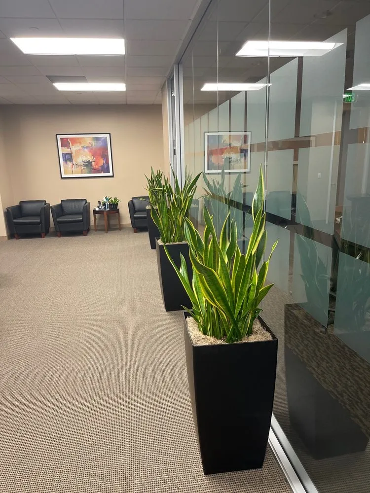 Expert garden landscaping in Pleasant Hill, CA - Plant Decor