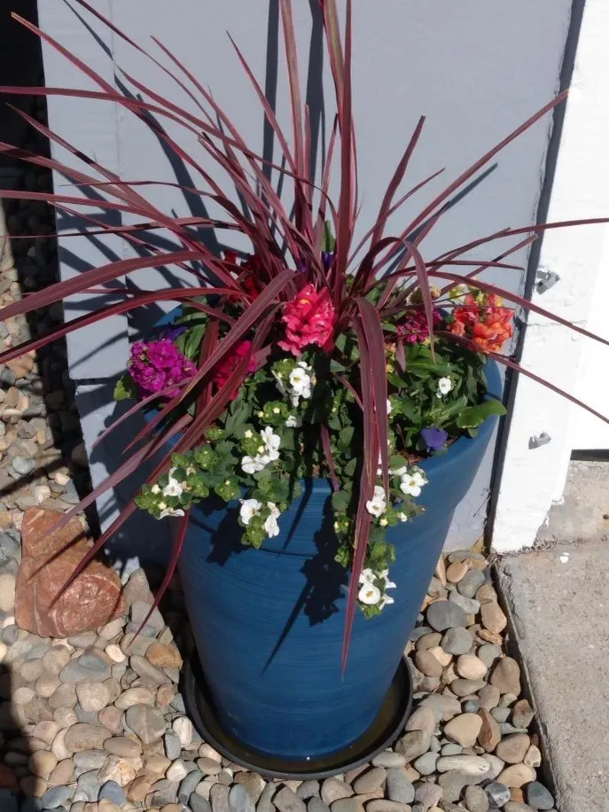 Custom lawn care service in Pleasant Hill, CA by Plant Decor